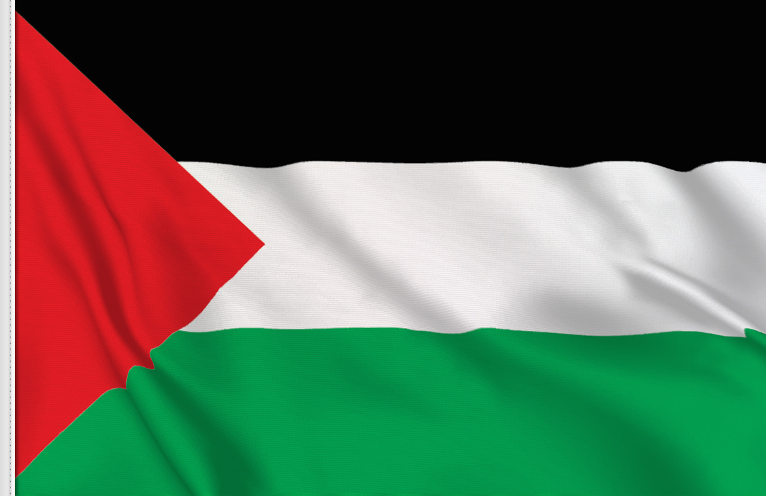 Flag That Looks Like Palestine Flag