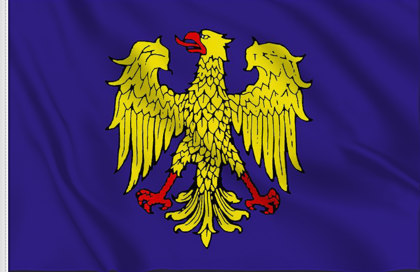 Friul Eagle Flag